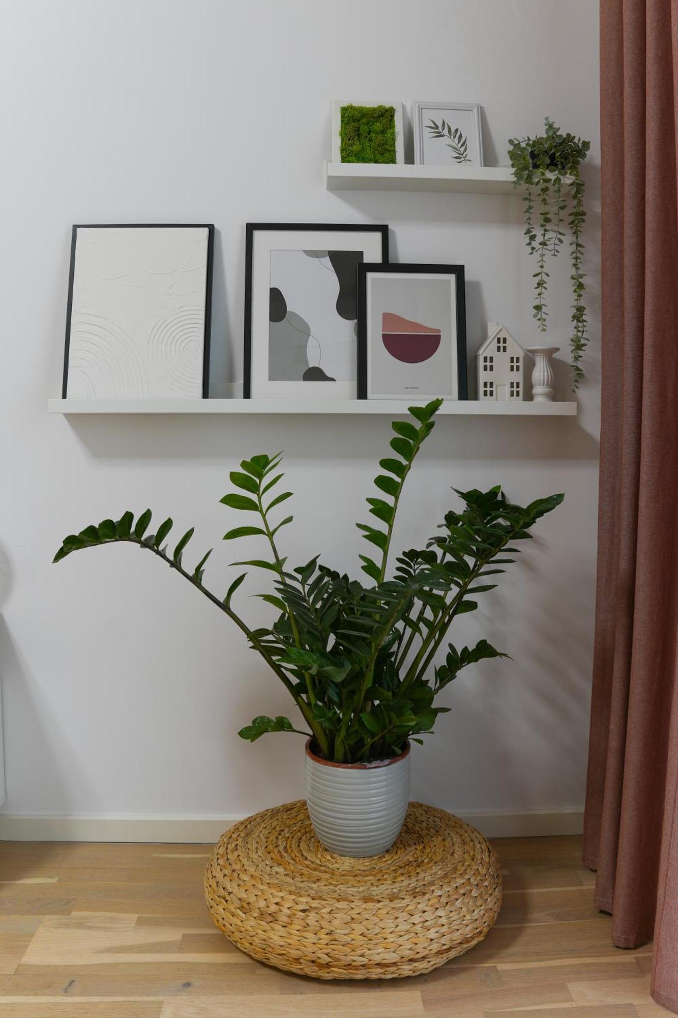 Amalia - Quiet 1Br Apartment With Parking & Wi-Fi Букурещ Екстериор снимка